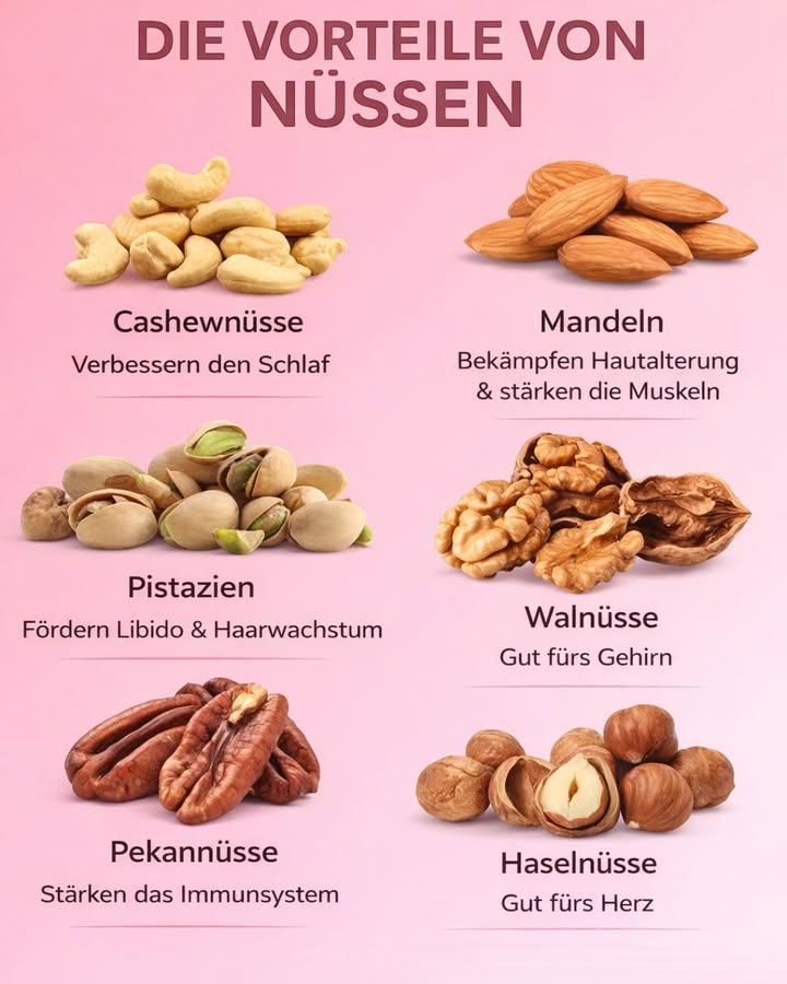 Die Vorteile von Nüssen  klein, aber unglaublich gesund! 

Wusstest du, dass eine kleine Handvoll Nüsse pro Tag deinem Körper enorm helfen kann? 
Jede Nusssorte hat ihre eigenen Vorteile  für Schlaf, Herz, Gehirn und sogar für Haut & Haare 

樂 Cashewnüsse
 Fördern einen erholsamen Schlaf
 Reich an Magnesium  ideal gegen Stress

 Mandeln
 Bekämpfen die Hautalterung
 Stärken Muskeln und Knochen
 Perfekt für Energie im Alltag

樂 Pistazien
 Fördern Libido und Haarwachstum
 Unterstützen die hormonelle Balance

 Walnüsse
 Sehr gut fürs Gehirn 易
 Unterstützen Konzentration und Gedächtnis

樂 Pekannüsse
 Stärken das Immunsystem
 Reich an Antioxidantien

 Haselnüsse
 Gut fürs Herz 
 Unterstützen eine gesunde Durchblutung

 Tipp der Oma:
Eine kleine Handvoll Nüsse pro Tag reicht völlig aus, um von ihren Vorteilen zu profitieren. Am besten naturbelassen und ohne Zucker!